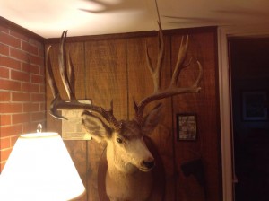 Bob Brock's Muley