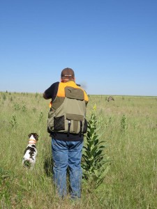 Early summer chukar training with Remi. Photo credit: Michelle Haines