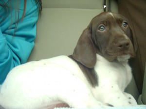 The day the adventures with Remi began.